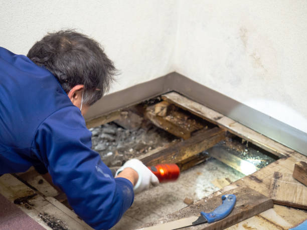 Water Damage Restoration in Sandersville, GA