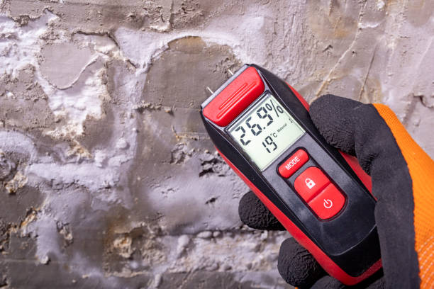 Best Office Mold Removal Services  in Sandersville, GA