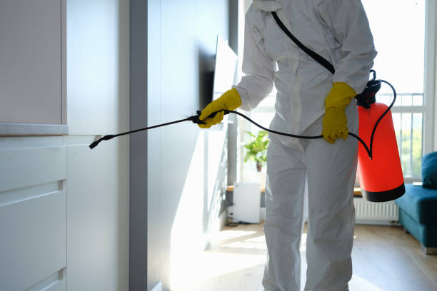 Best Mold Testing  in Sandersville, GA