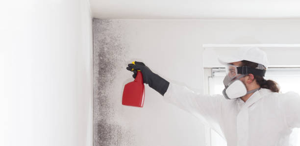Best Fast Mold Removal  in Sandersville, GA
