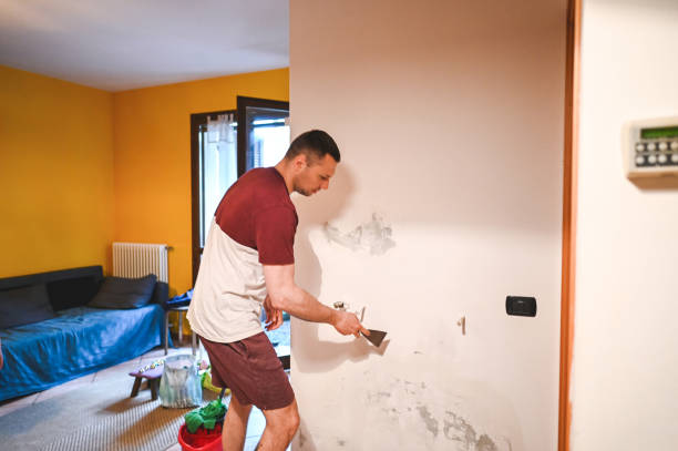 Best Emergency Mold Removal  in Sandersville, GA