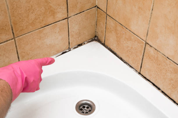 Certified Mold Removal in Sandersville, GA